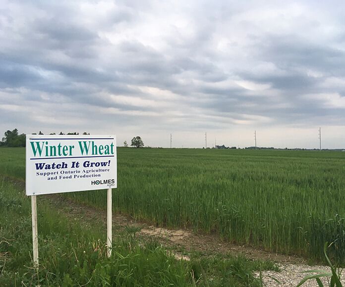 Holmes Agro crop with Winter Wheat Make It Grow sign Agronomy