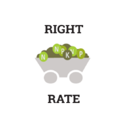 Right Rate graphic