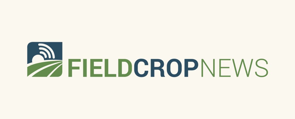 Holmes Field Crop News hero image logo and beige background