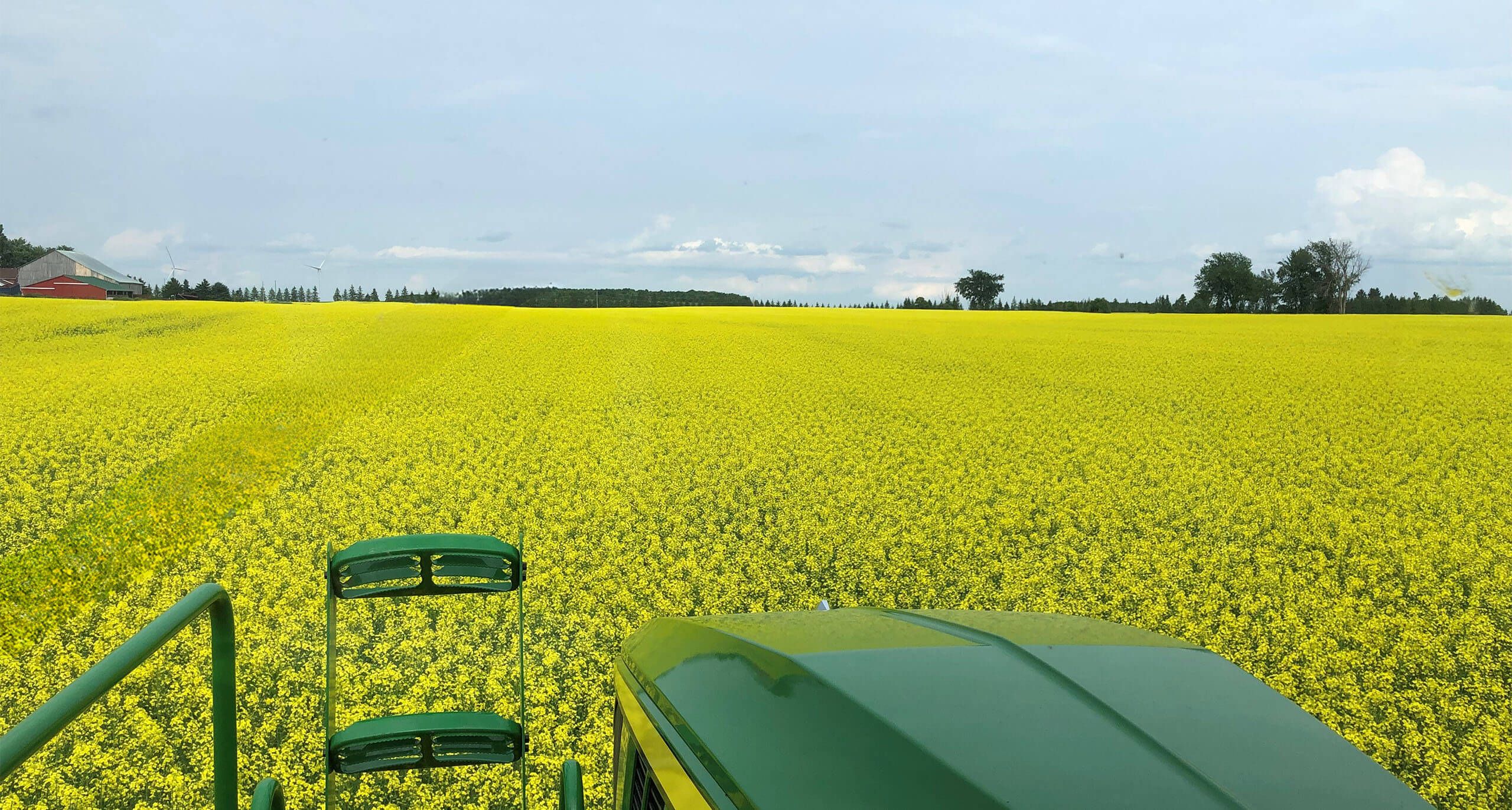 Holmes Agro Crops and blue sky
