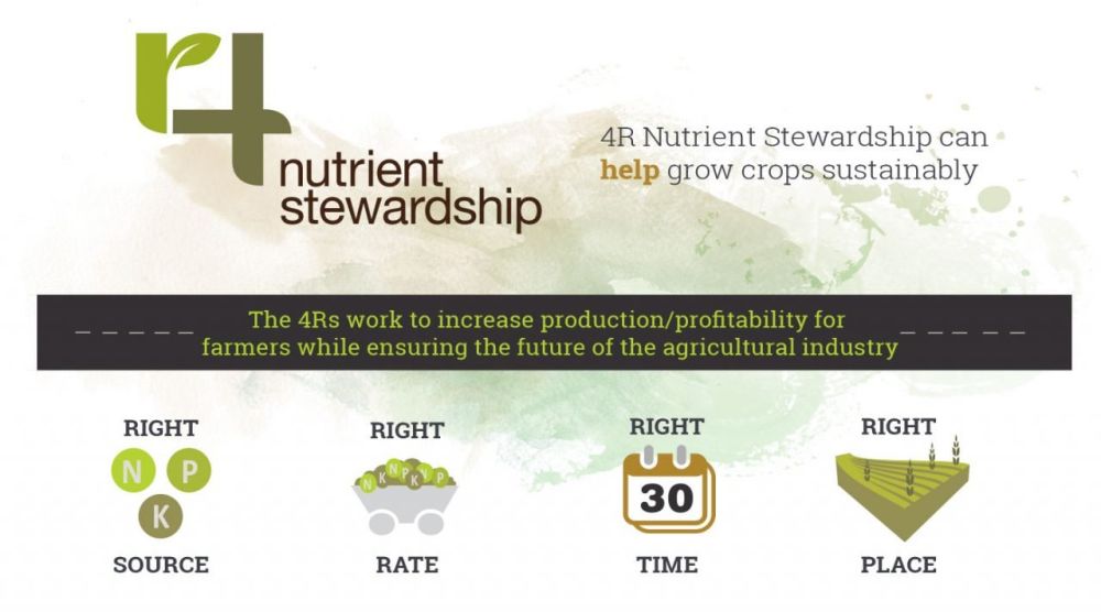 4R Stewardship graphic 4Rs